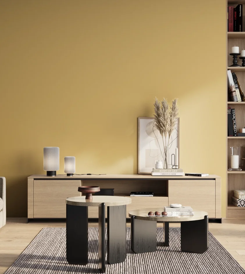 P10_SNIEZKA_salon_01_poranek_GREY_S1030-Y10R