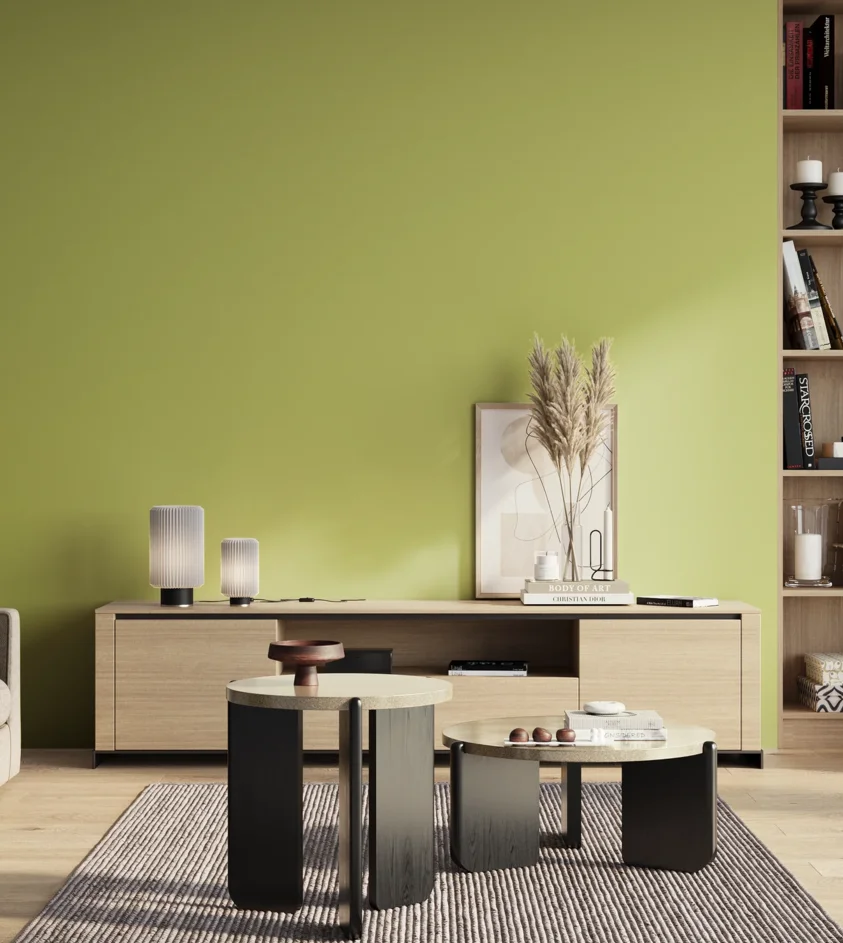 P10_SNIEZKA_salon_01_poranek_GREY_S1040-G60Y