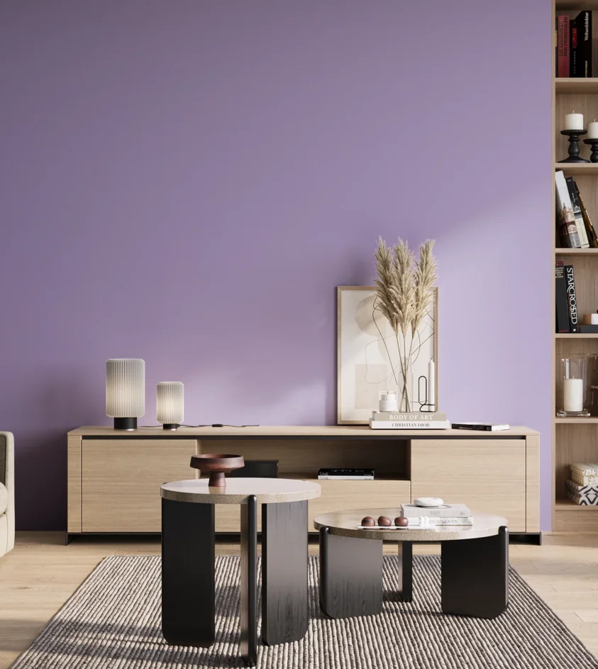 P10_SNIEZKA_salon_01_poranek_GREY_S1040-R60B