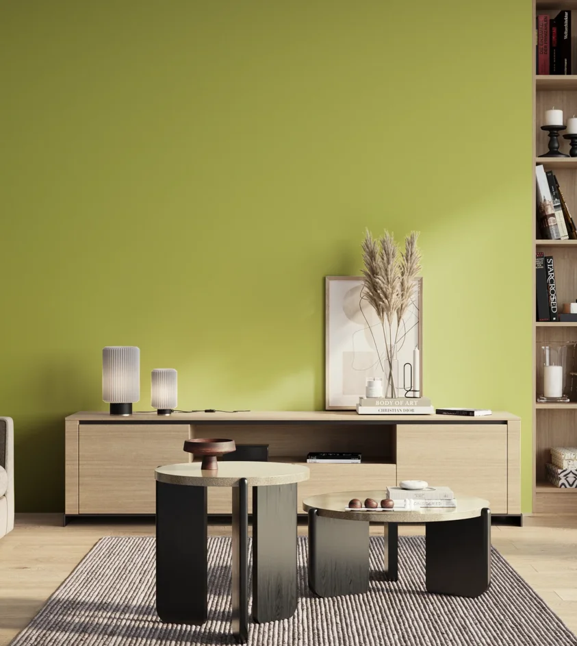 P10_SNIEZKA_salon_01_poranek_GREY_S1050-G60Y