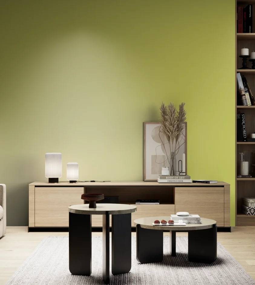 P10_SNIEZKA_salon_05_zimne_GREY_S1050-G70Y