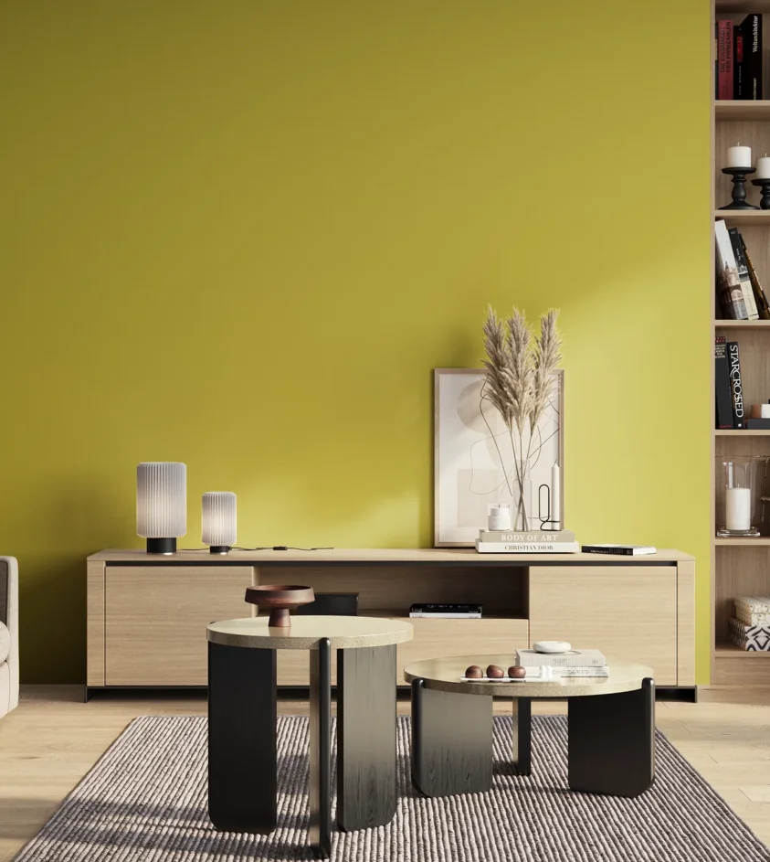 P10_SNIEZKA_salon_01_poranek_GREY_S1060-G80Y