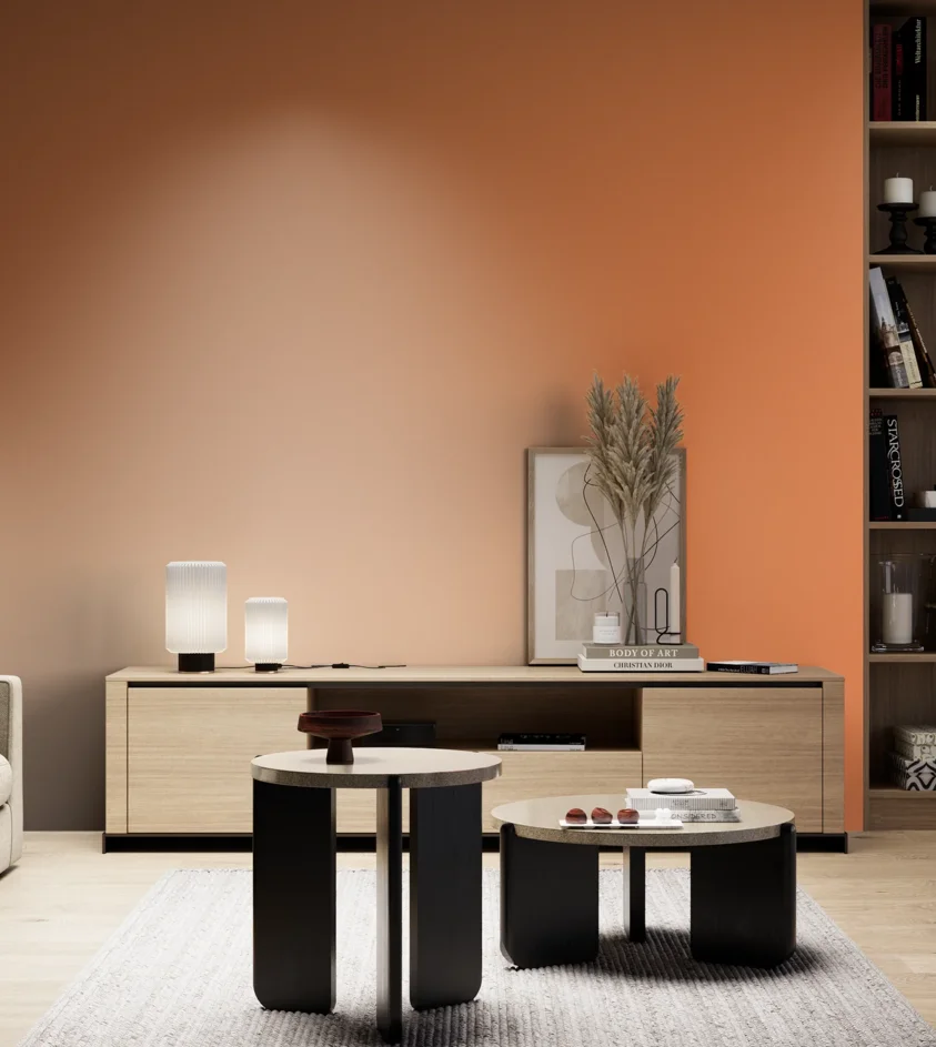 P10_SNIEZKA_salon_05_zimne_GREY_S1060-Y50R