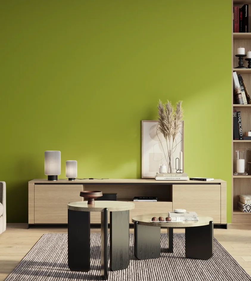P10_SNIEZKA_salon_01_poranek_GREY_S1070-G50Y