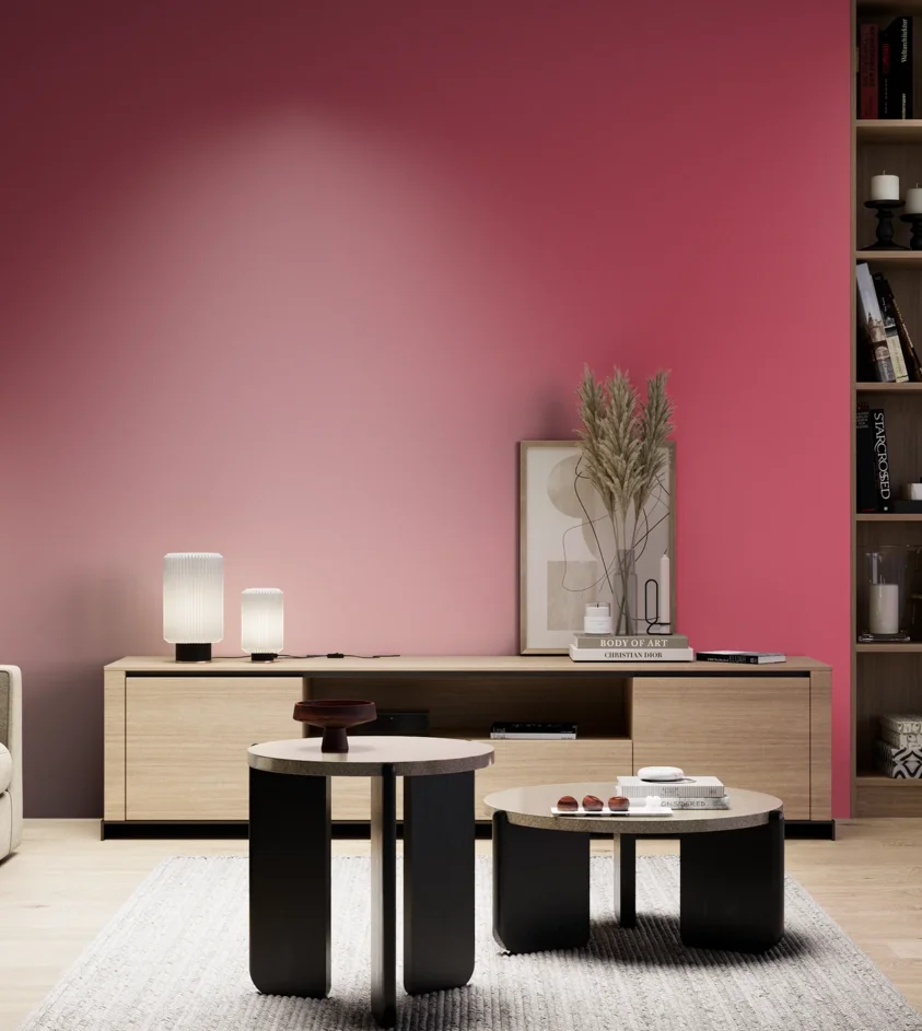 P10_SNIEZKA_salon_05_zimne_GREY_S1070-R10B