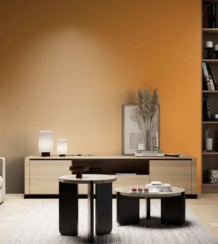 P10_SNIEZKA_salon_05_zimne_GREY_S1070-Y30R