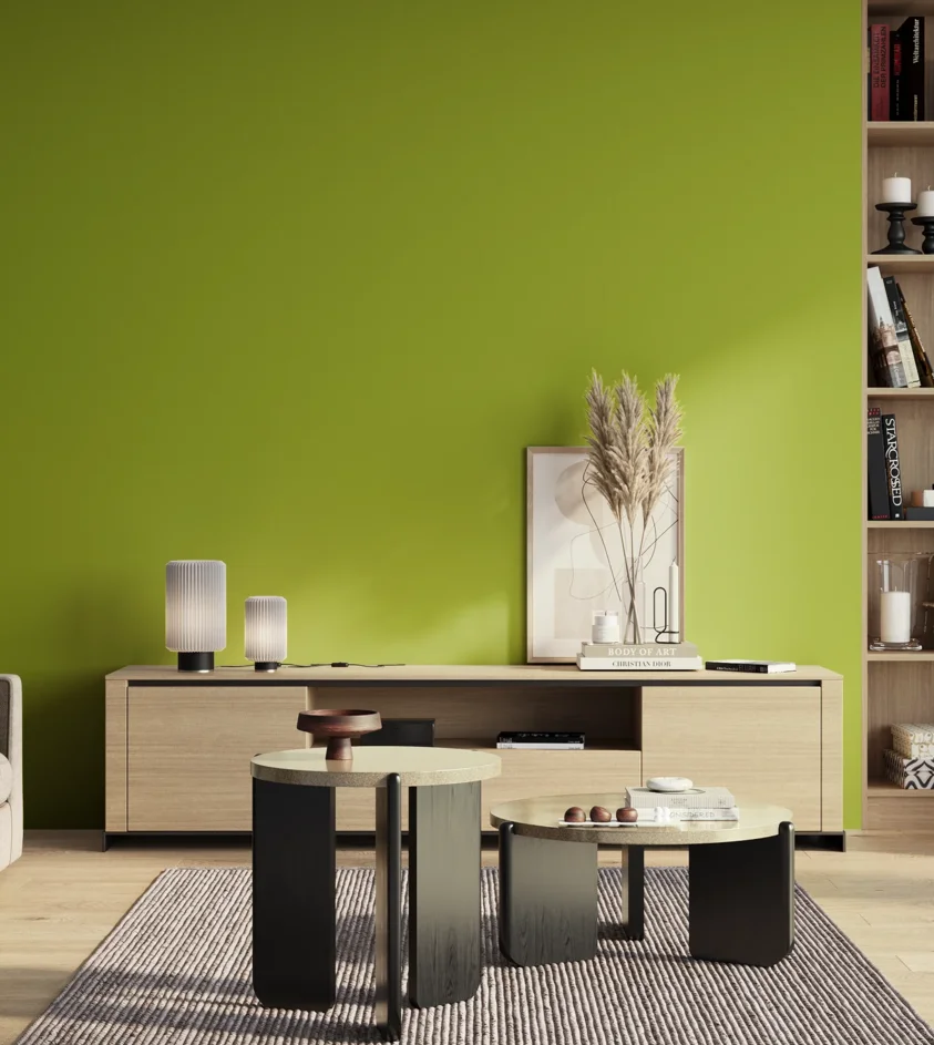 P10_SNIEZKA_salon_01_poranek_GREY_S1075-G50Y