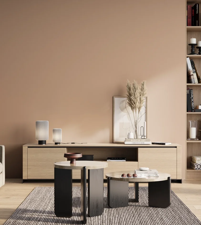 P10_SNIEZKA_salon_01_poranek_GREY_S1515-Y60R