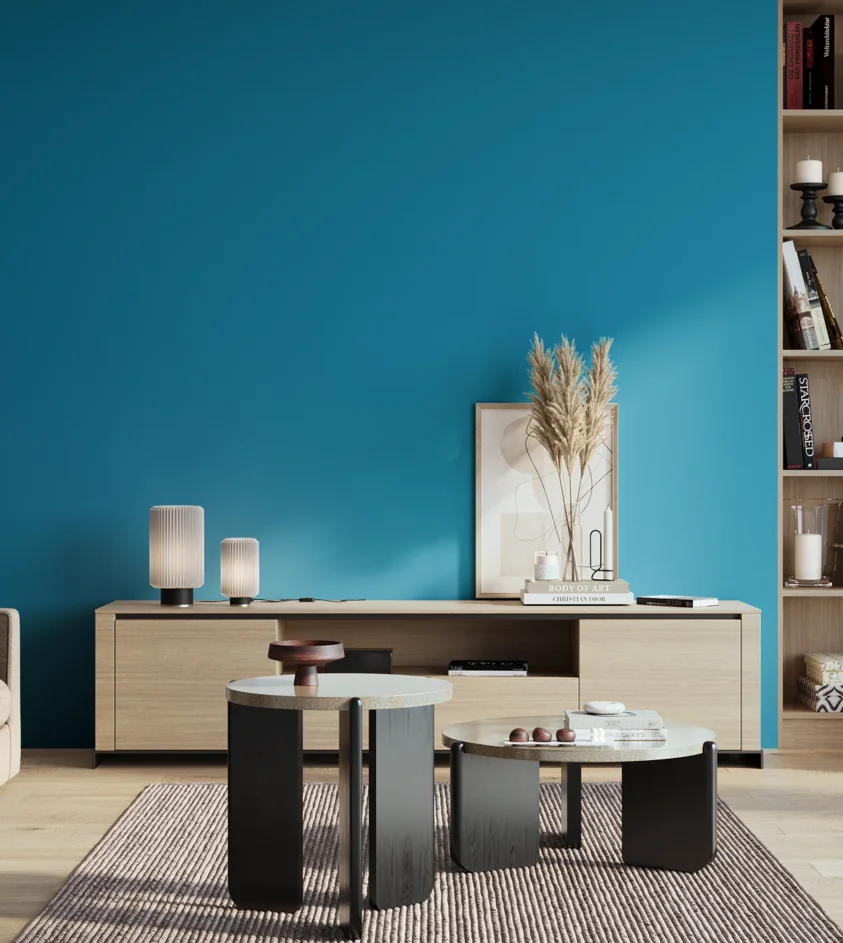 P10_SNIEZKA_salon_01_poranek_GREY_S1565-B