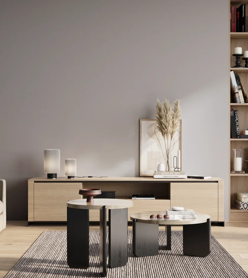 P10_SNIEZKA_salon_01_poranek_GREY_S2005-R60B