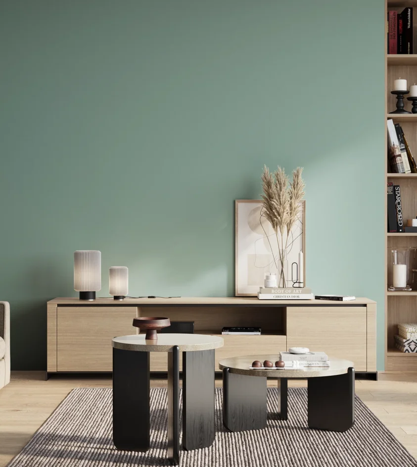 P10_SNIEZKA_salon_01_poranek_GREY_S2020-B60G