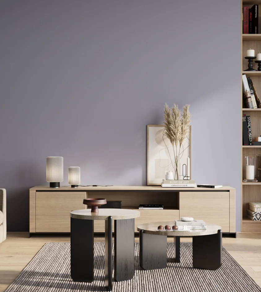 P10_SNIEZKA_salon_01_poranek_GREY_S2020-R70B