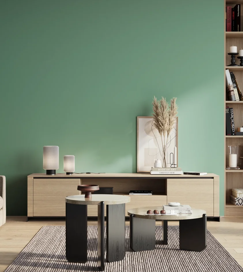 P10_SNIEZKA_salon_01_poranek_GREY_S2030-B90G