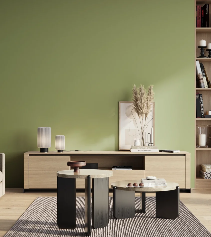 P10_SNIEZKA_salon_01_poranek_GREY_S2030-G40Y