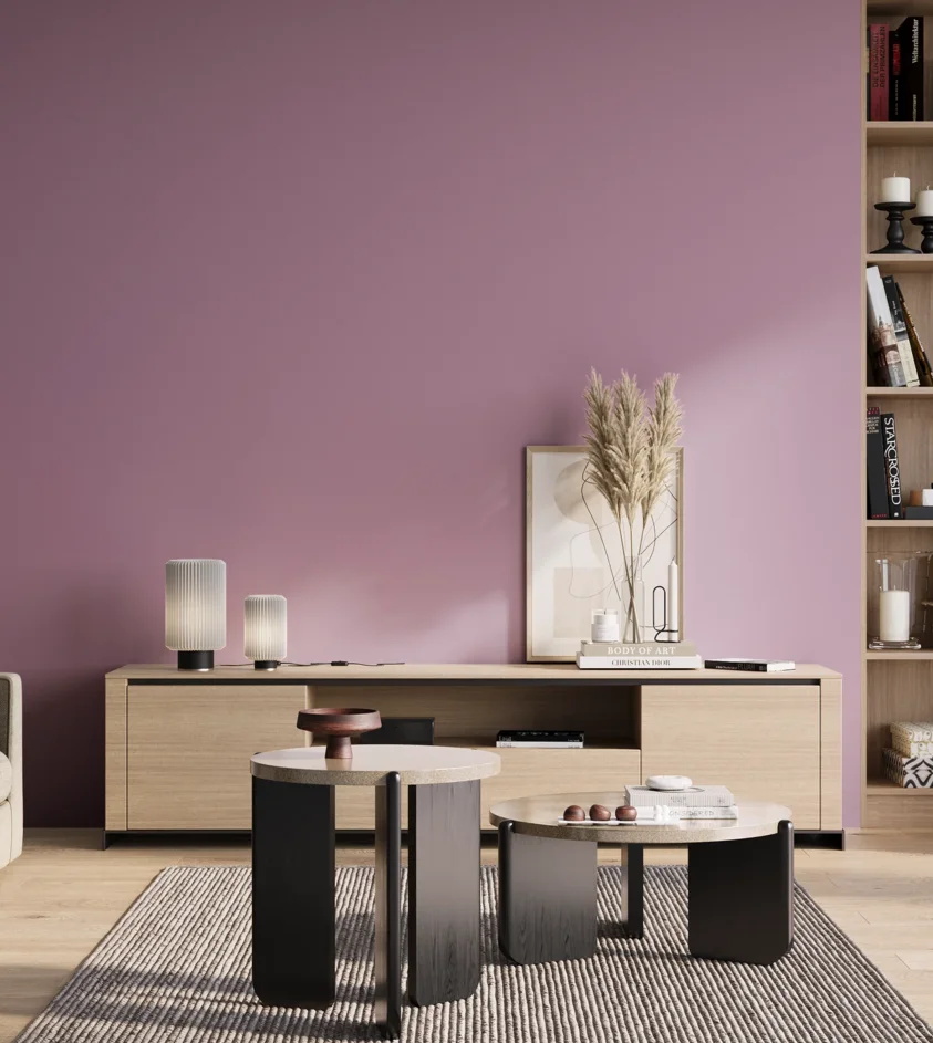 P10_SNIEZKA_salon_01_poranek_GREY_S2030-R40B