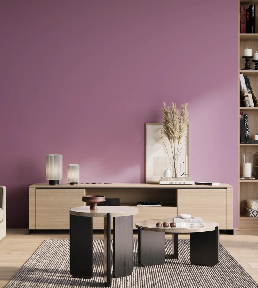 P10_SNIEZKA_salon_01_poranek_GREY_S2040-R40B