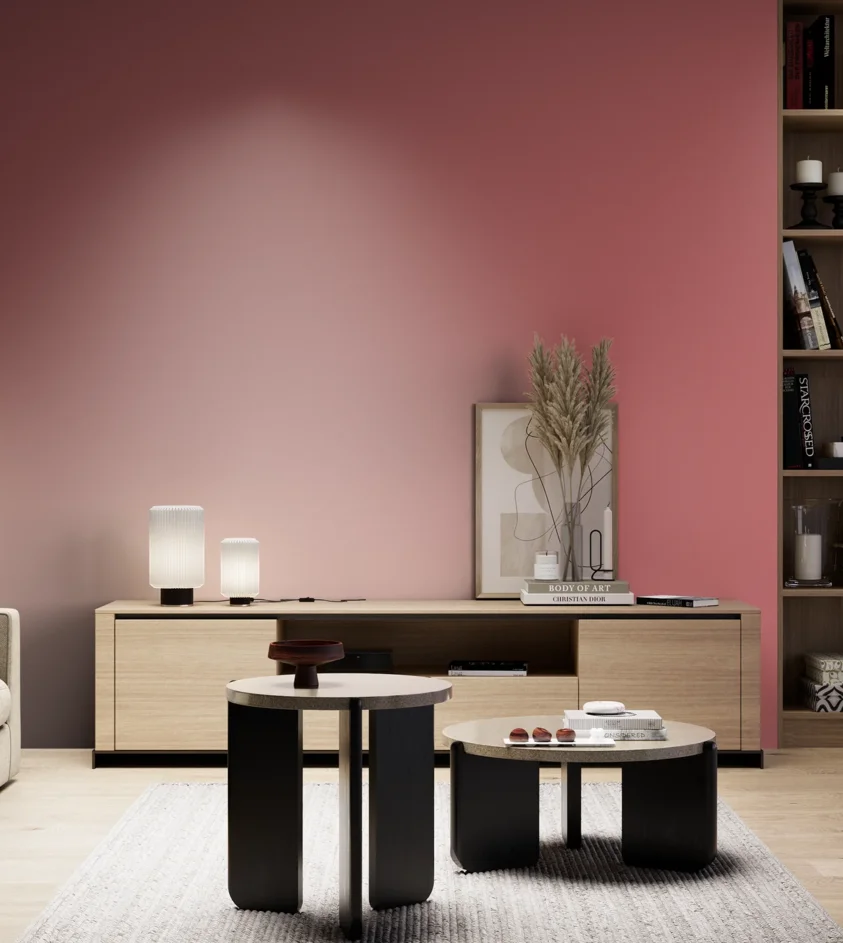 P10_SNIEZKA_salon_05_zimne_GREY_S2050-R