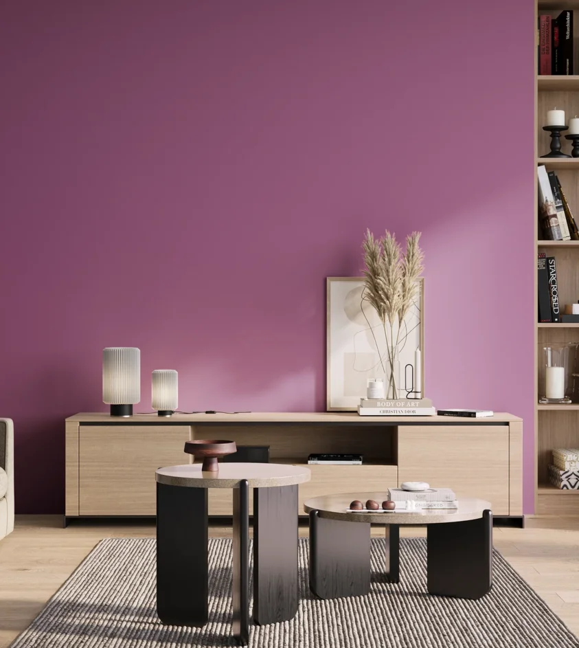 P10_SNIEZKA_salon_01_poranek_GREY_S2050-R40B