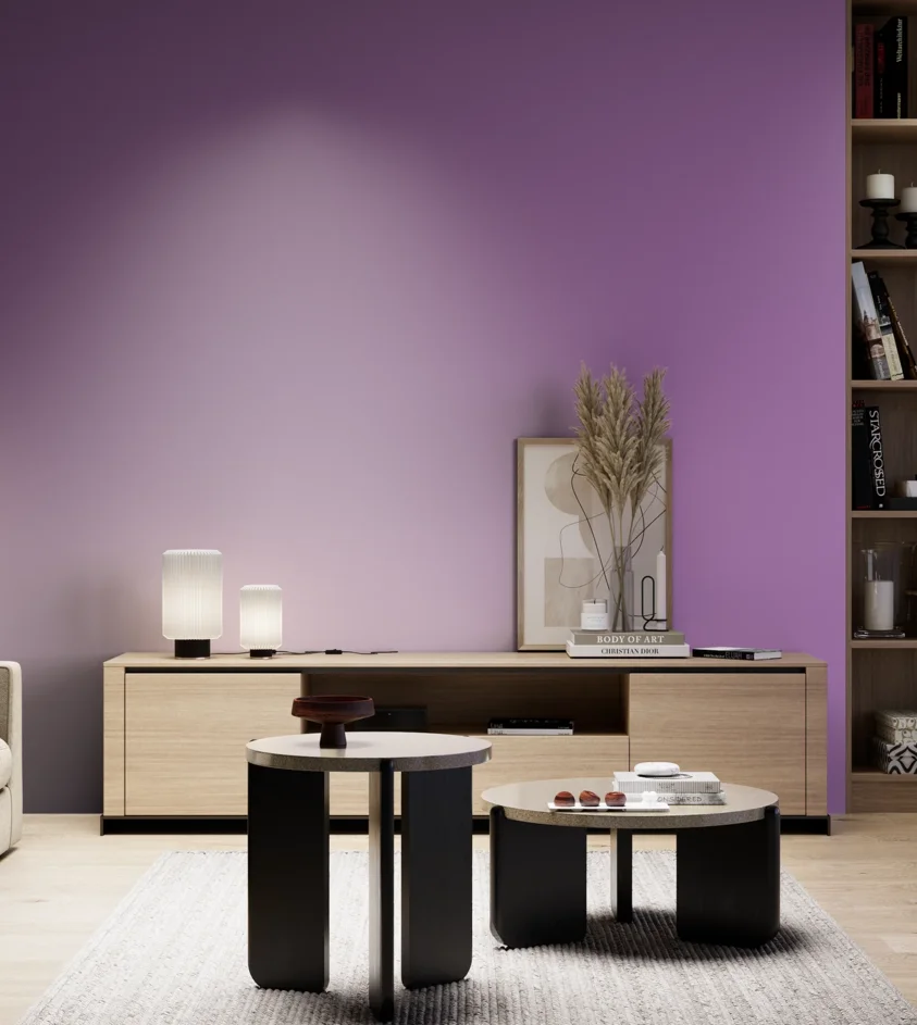 P10_SNIEZKA_salon_05_zimne_GREY_S2050-R50B