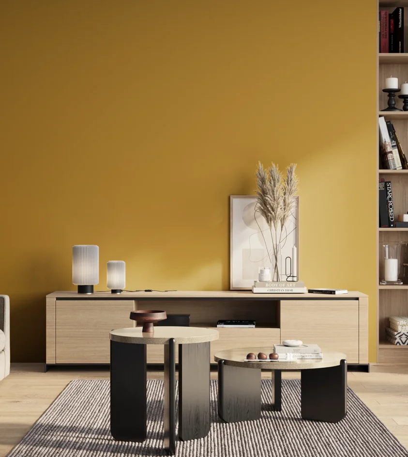 P10_SNIEZKA_salon_01_poranek_GREY_S2060-Y10R