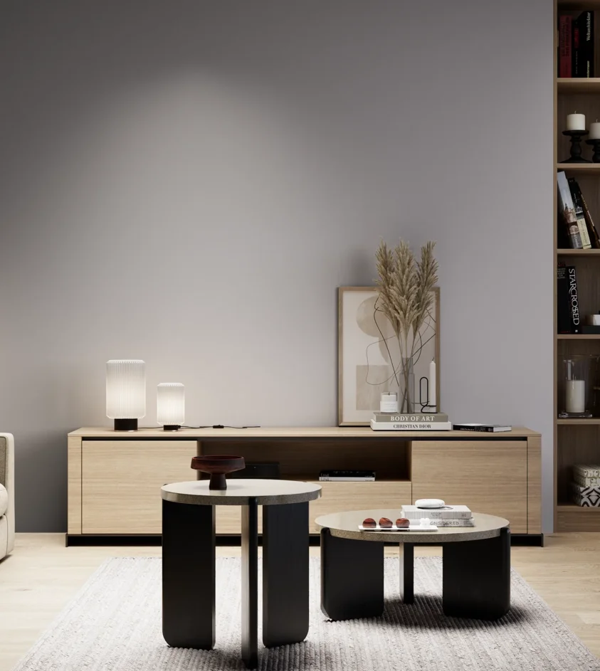 P10_SNIEZKA_salon_05_zimne_GREY_S3005-R50B