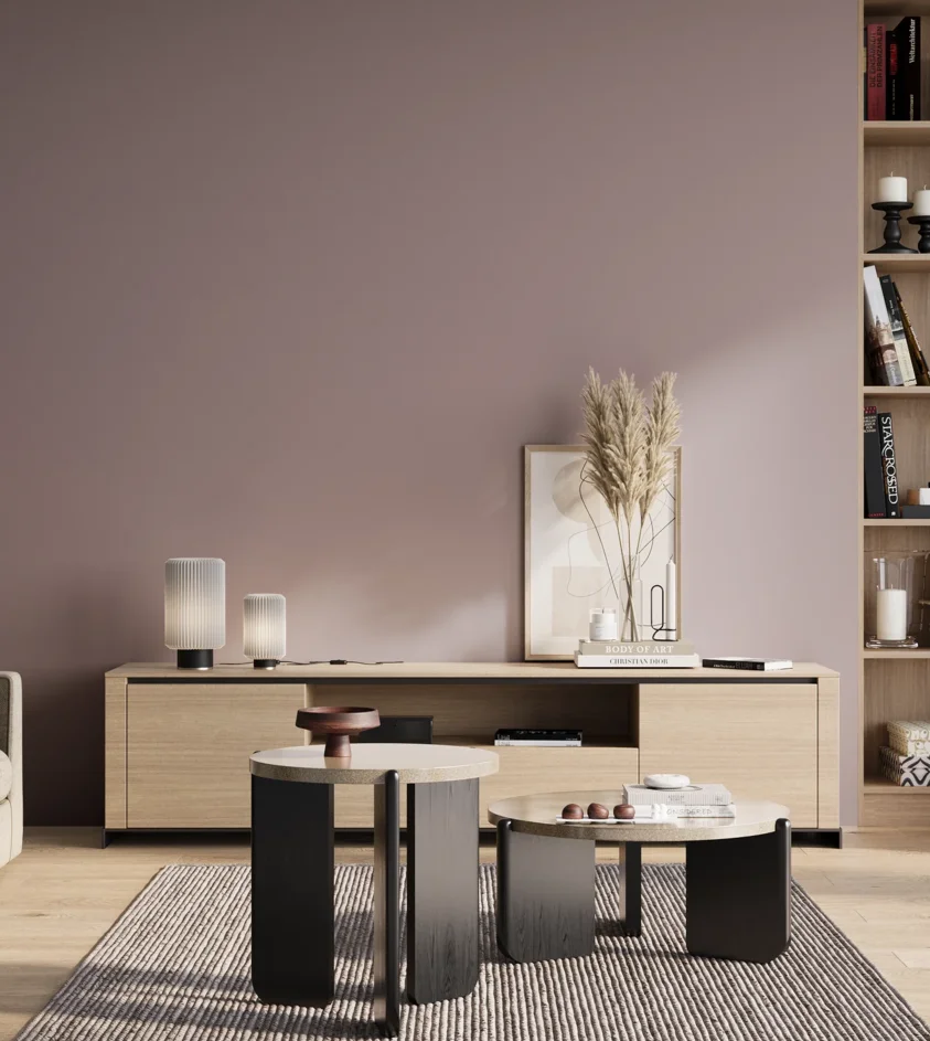P10_SNIEZKA_salon_01_poranek_GREY_S3010-R30B