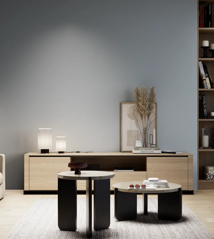 P10_SNIEZKA_salon_05_zimne_GREY_S3010-R90B