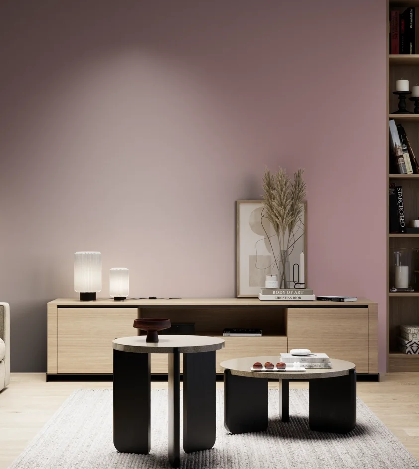 P10_SNIEZKA_salon_05_zimne_GREY_S3020-R10B