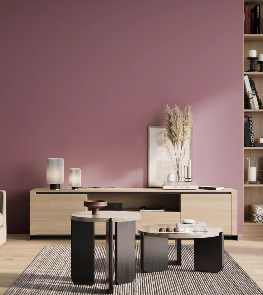 P10_SNIEZKA_salon_01_poranek_GREY_S3030-R30B