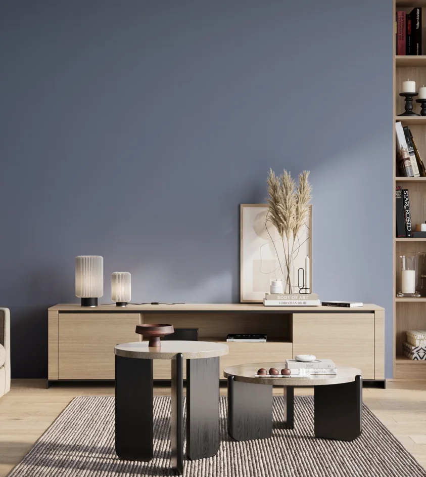 P10_SNIEZKA_salon_01_poranek_GREY_S3030-R80B