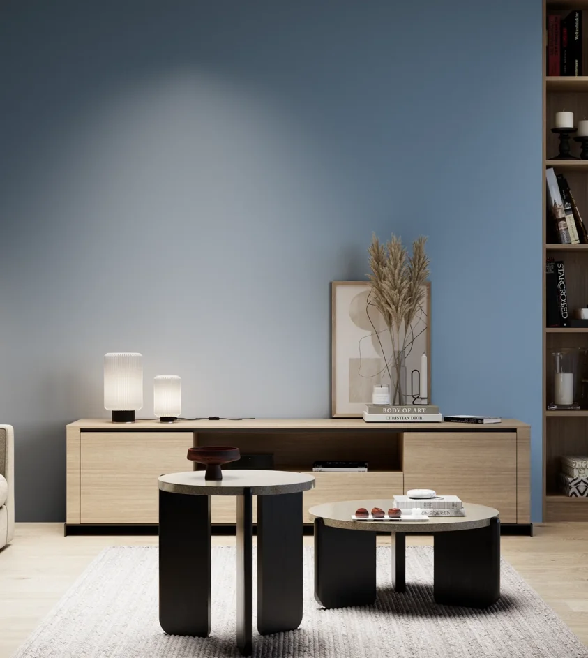 P10_SNIEZKA_salon_05_zimne_GREY_S3030-R90B