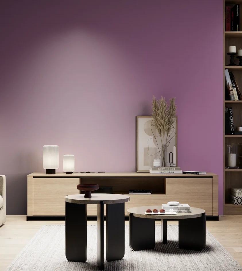P10_SNIEZKA_salon_05_zimne_GREY_S3040-R40B