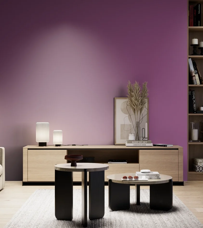 P10_SNIEZKA_salon_05_zimne_GREY_S3050-R40B