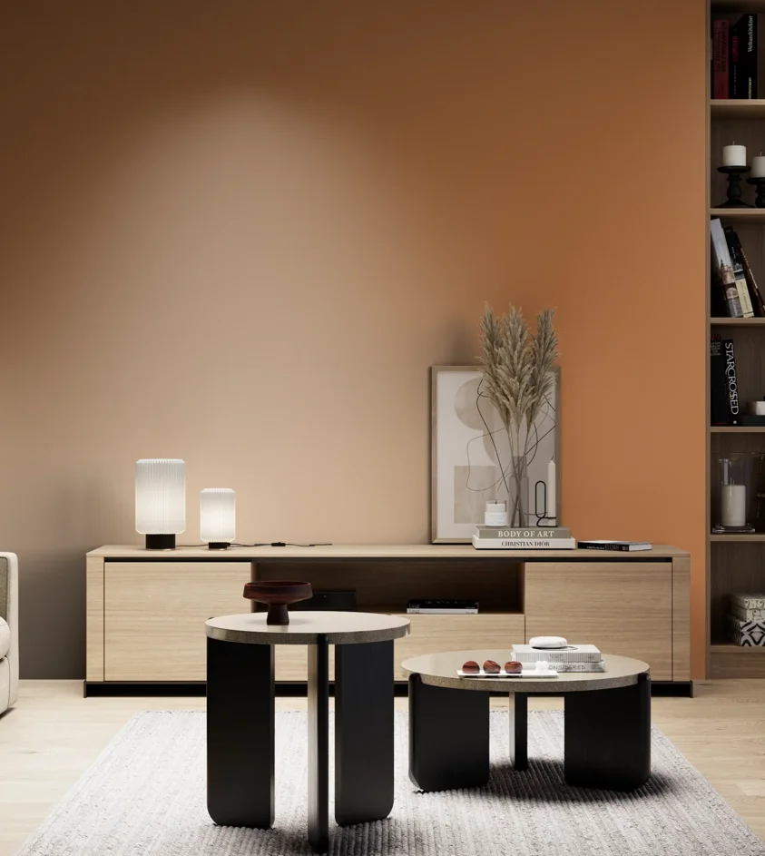 P10_SNIEZKA_salon_05_zimne_GREY_S3050-Y40R