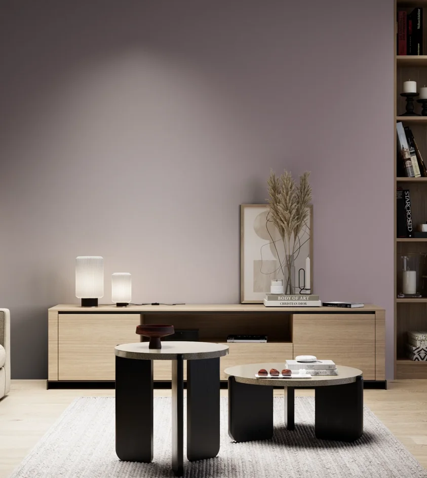 P10_SNIEZKA_salon_05_zimne_GREY_S4010-R30B
