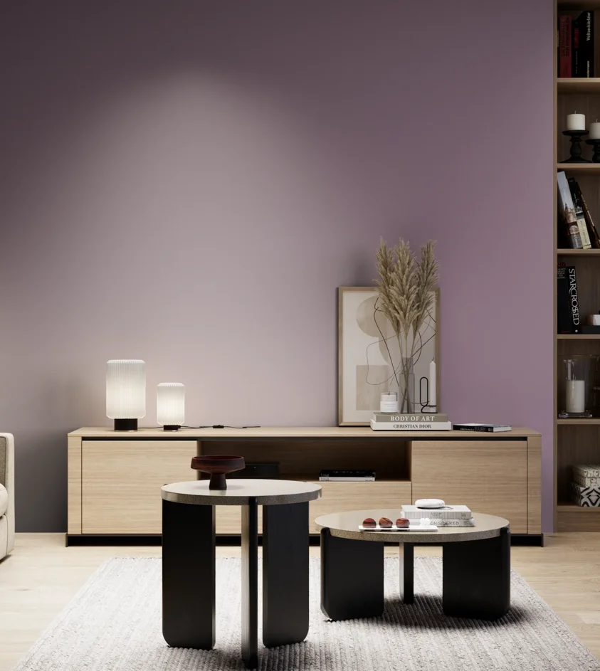 P10_SNIEZKA_salon_05_zimne_GREY_S4020-R40B