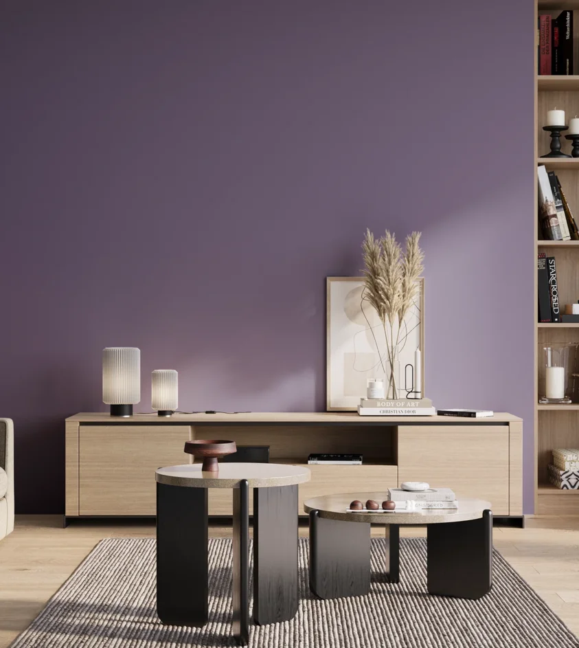 P10_SNIEZKA_salon_01_poranek_GREY_S4030-R60B