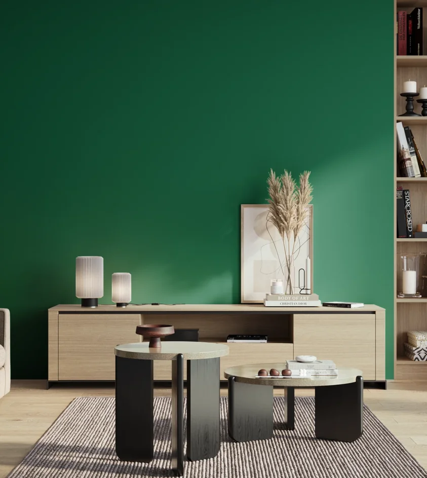 P10_SNIEZKA_salon_01_poranek_GREY_S4550-G