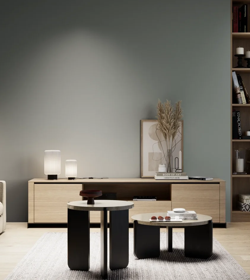 P10_SNIEZKA_salon_05_zimne_GREY_S5005-B80G