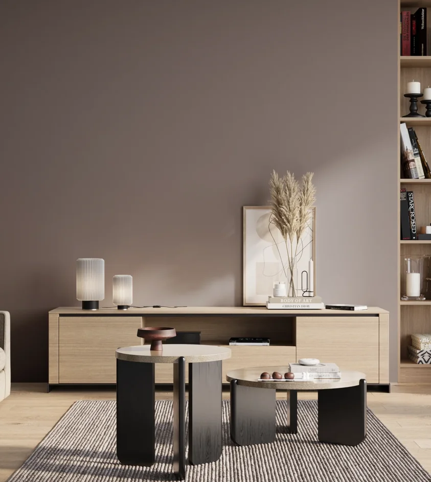 P10_SNIEZKA_salon_01_poranek_GREY_S5005-R20B