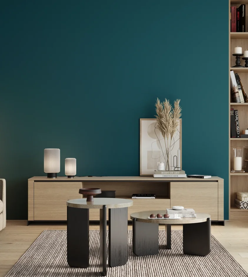 P10_SNIEZKA_salon_00_neutral_GREY_S5045-B10G