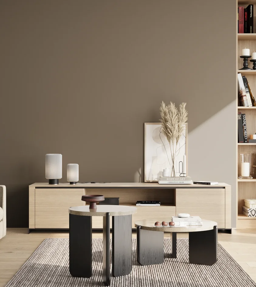 P10_SNIEZKA_salon_02_poludnie_GREY_S6005-Y20R