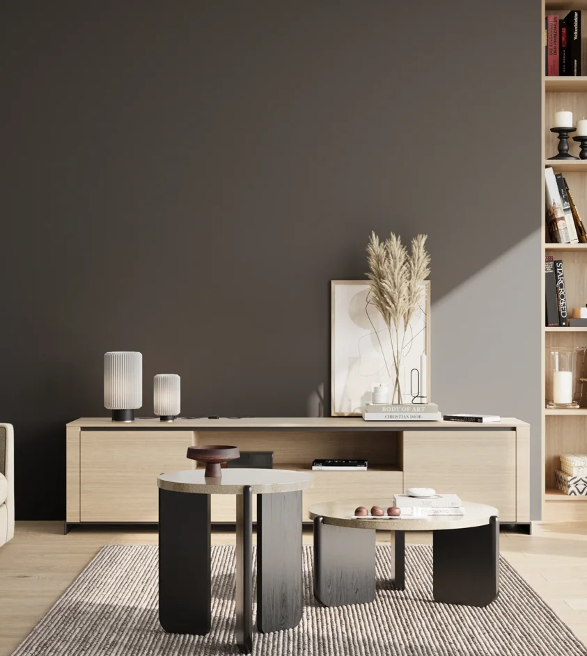 P10_SNIEZKA_salon_02_poludnie_GREY_S8502-B