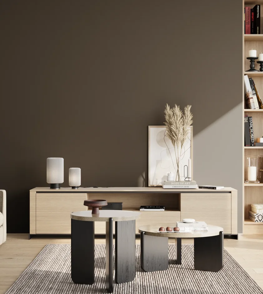 P10_SNIEZKA_salon_02_poludnie_GREY_S8505-Y20R