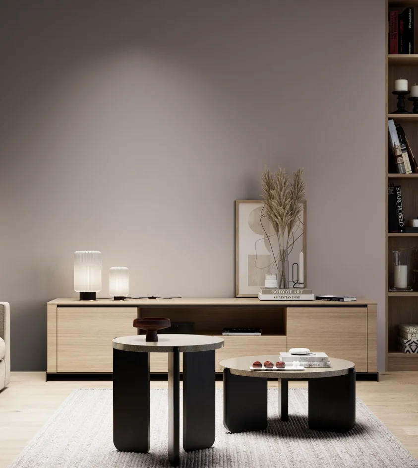 P10_SNIEZKA_salon_05_zimne_GREY_S4005-R