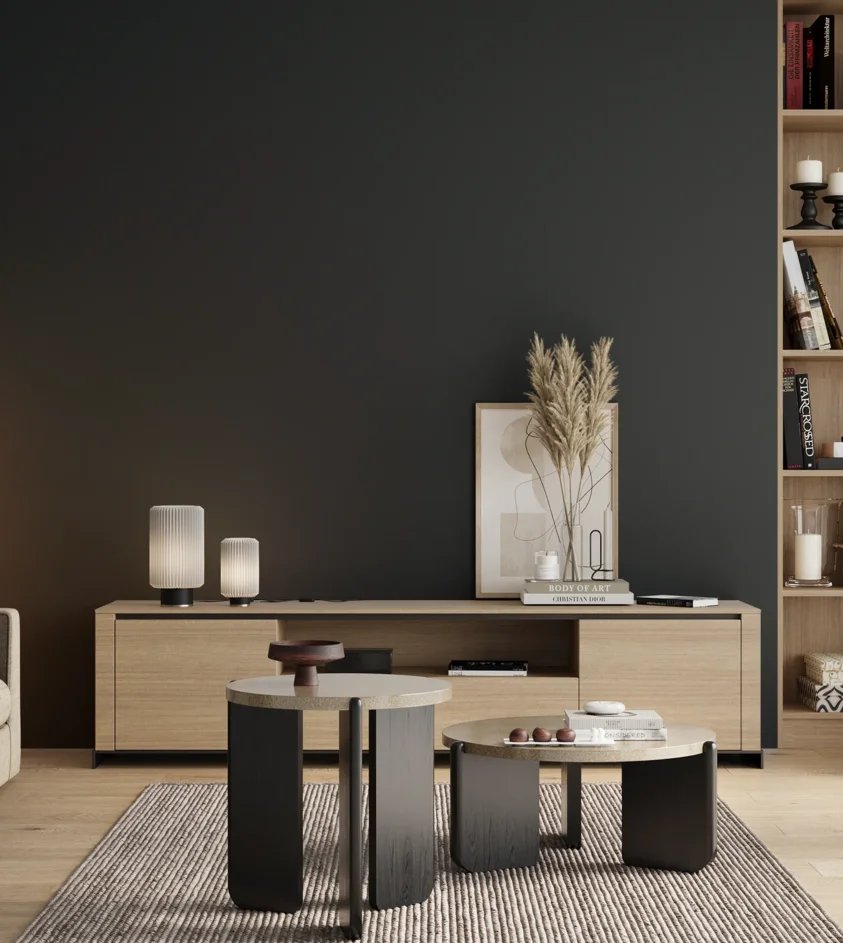 P10_SNIEZKA_salon_00_neutral_GREY_S8005-B