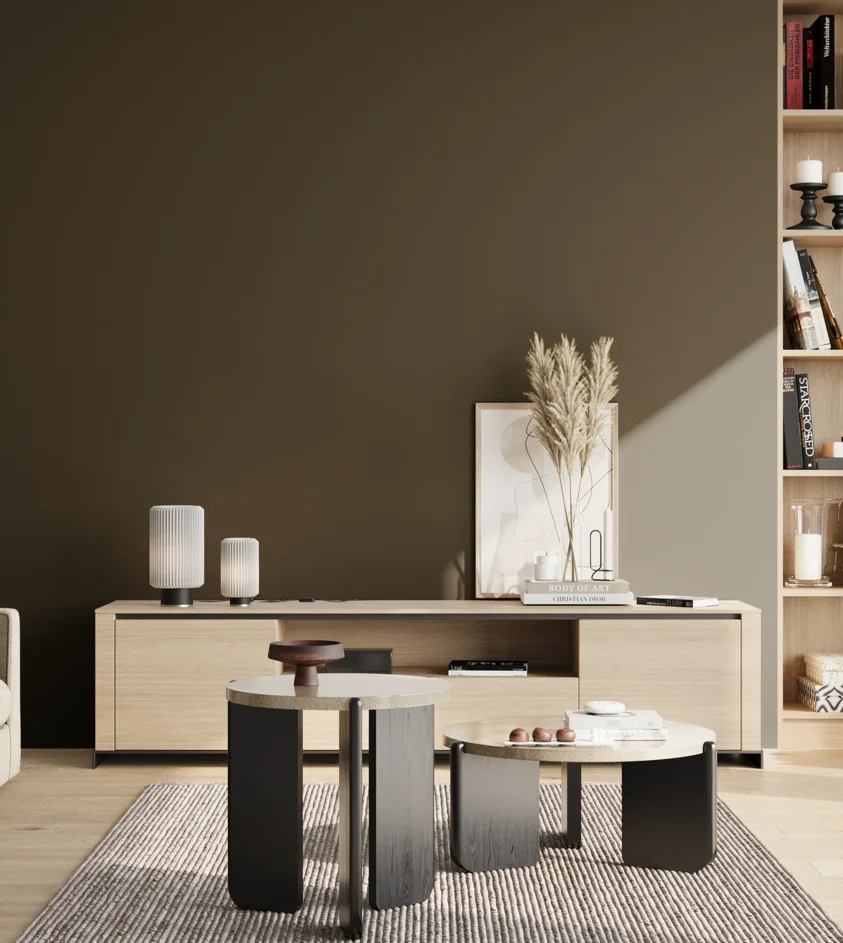 P10_SNIEZKA_salon_02_poludnie_GREY_S8005-Y