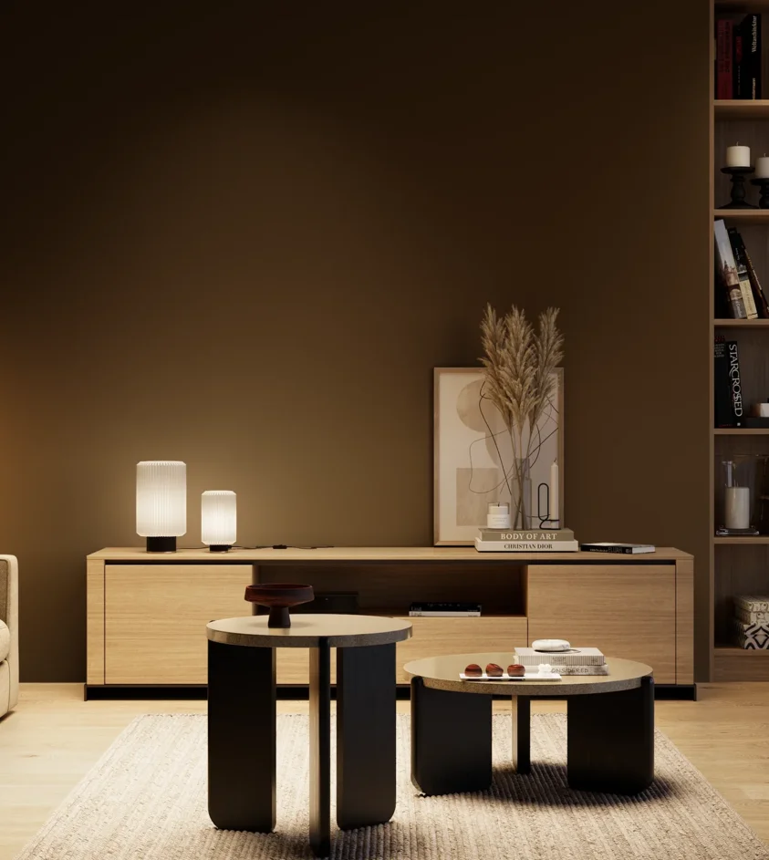 P10_SNIEZKA_salon_04_cieple_GREY_S8505-Y50R