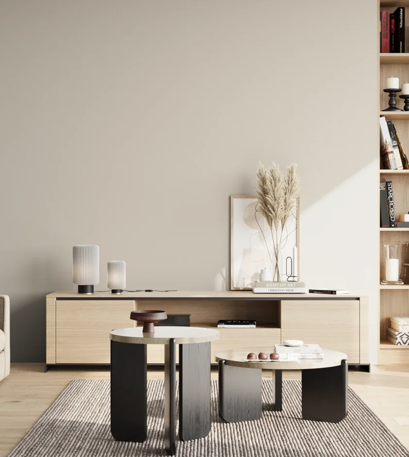 P10_SNIEZKA_salon_02_poludnie_GREY_S1502-Y20R