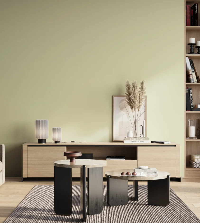 P10_SNIEZKA_salon_01_poranek_GREY_S0510-G70Y